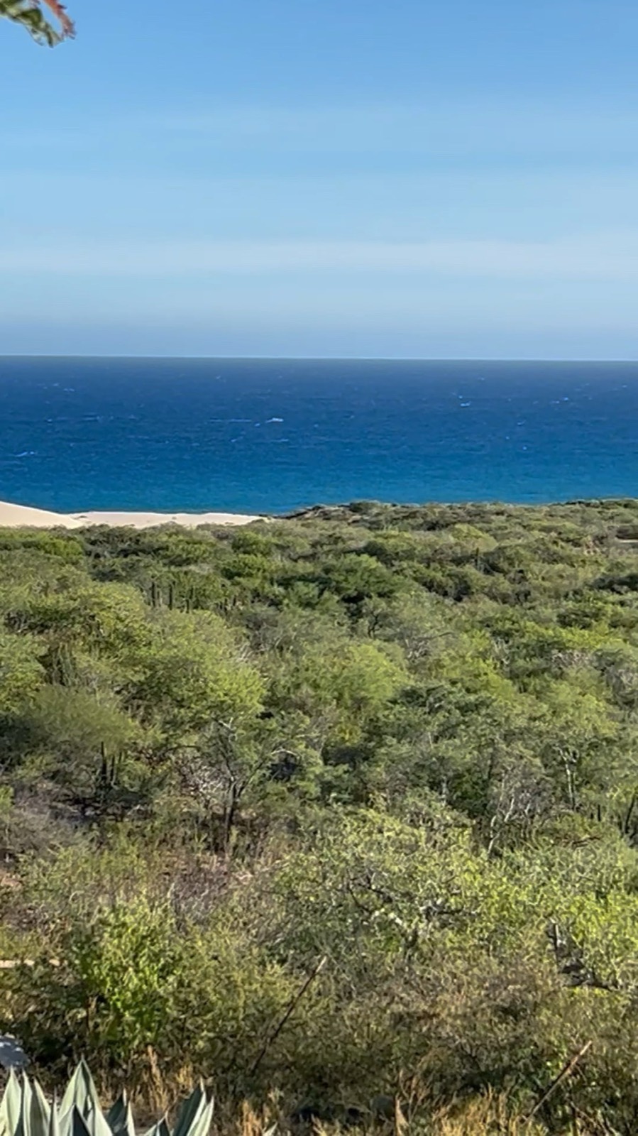 Green desert running down to the beach and the Sea of Cortez on the East Cape